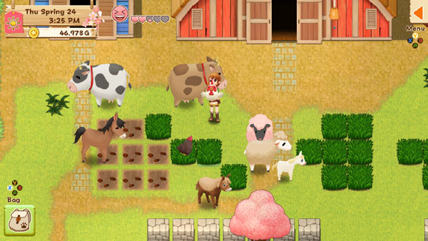 harvest moon ds walkthrough mine 3